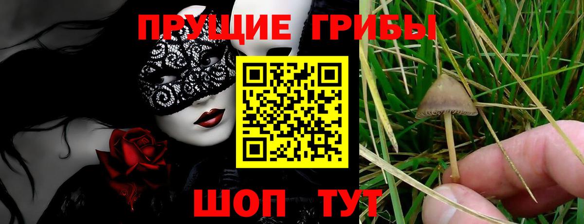 Галлюциногенные грибы GOLDEN TEACHER  Псилоцибиновые грибы Magic Shrooms  Вход с VPN  Богородицк 