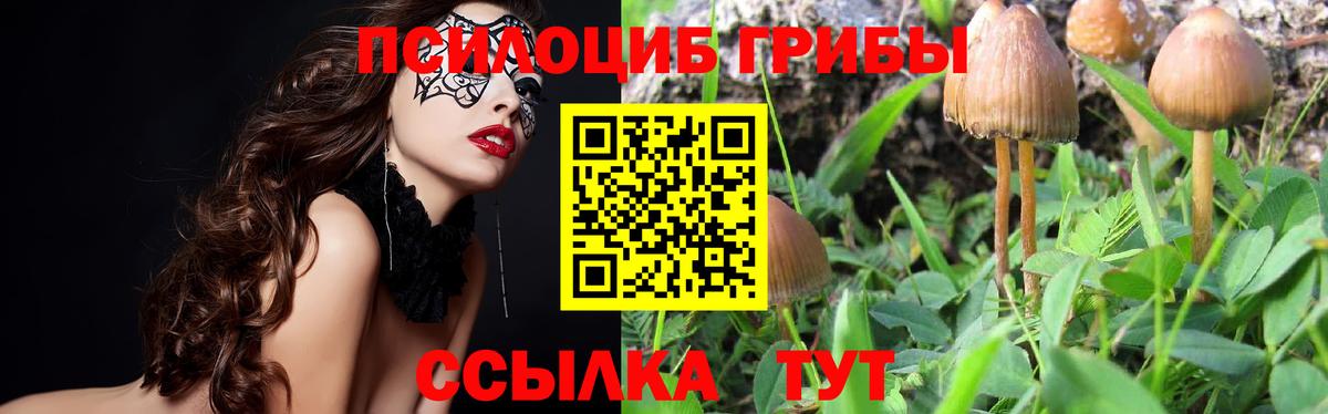 Галлюциногенные грибы ЛСД Богородицк